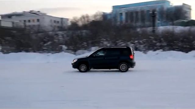 Йети на льду