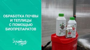 Парник и теплицу обязательно обрабатываем весной от вредителей и болезней! Готовимся к посадкам.