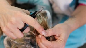 Как стричь когти собаке йорку: как правильно обрезать когти йоркширскому терьеру в домашних условия