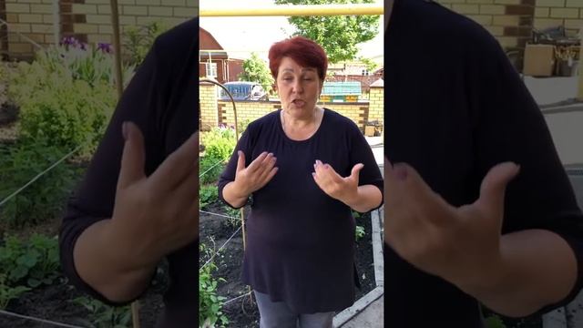 Комплексное удобрение смотреть онлайн