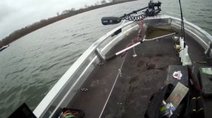 Лодка Тактика 390 р "ПРОТИВ" ОРИОН 38  Сравнительный тест на воде!