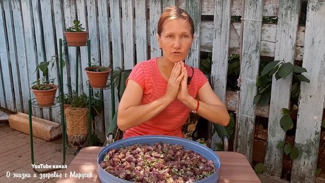 КЛЕВЕР ЛУГОВОЙ ТАК МНОГО НЕЛЬЗЯ НО ОЧЕНЬ ХОЧЕТСЯ смотреть онлайн