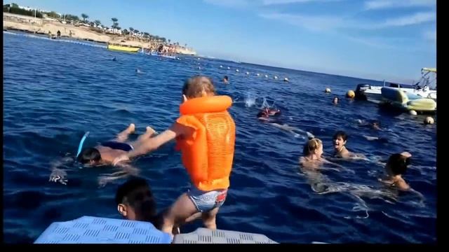 В Шарм-Эль-Шейх! На Красное море! смотреть онлайн