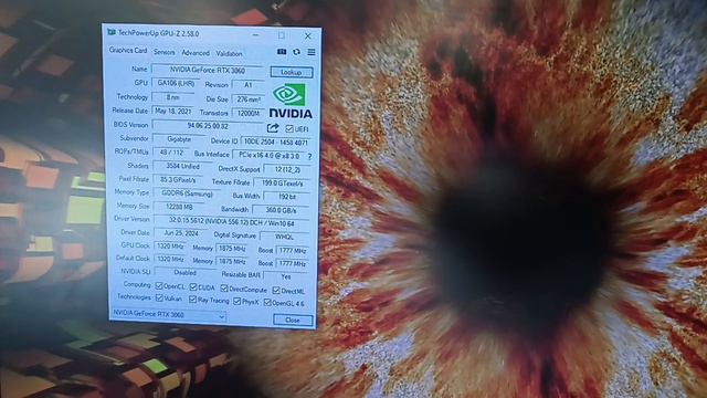 VID_20240723_143723 смотреть онлайн