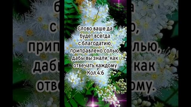 Доброй ночи! Христианское пожелание! смотреть онлайн