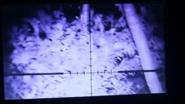 Прибор ночного видения на прицел | Night vision device on sight смотреть онлайн