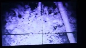 Прибор ночного видения на прицел | Night vision device on sight