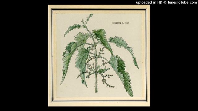Ethel cain- nettles(extended mix prod.postumo) смотреть онлайн