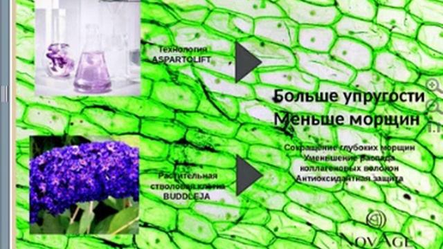 "Комплексный уход за лицом" Елена Добычина смотреть онлайн