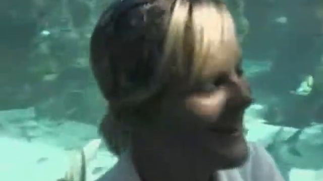 SYDNEY AQUARIUM смотреть онлайн