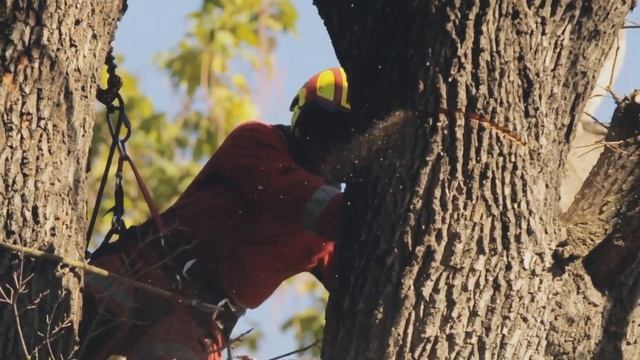 Работа в Польше 2023 | Реальная зарплата от 8000 злотых без опыта и знания языка смотреть онлайн