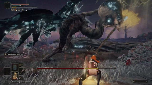 Death Rite Bird Сaelid No Hit Solo Level 1 Elden Ring Погребальная птица Звездные пустоши без урона смотреть онлайн