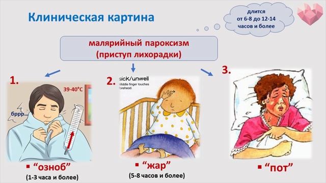 PROCТО О СЛОЖНОМ Малярия, Инфекционные болезни №11 смотреть онлайн