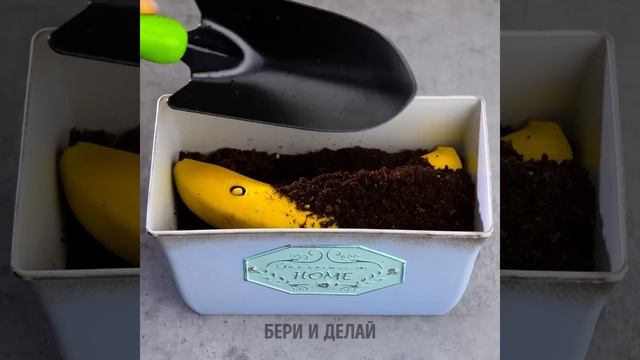 Полезные советы по посадке растений, которые сделают вас настоящим садоводом смотреть онлайн