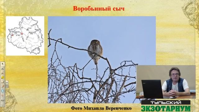 КРАСНАЯ КНИГА ТУЛЬСКОЙ ОБЛАСТИ. ДУБЕНСКИЙ РАЙОН. Часть 1. Позвоночные животные. смотреть онлайн