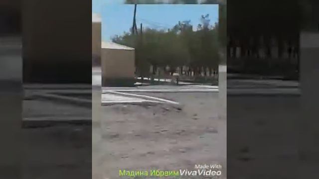 Тамды туган жерим смотреть онлайн
