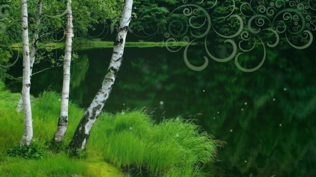 Музыка для учебы и творчества с пением птиц ? Симфония Леса музыка природы! смотреть онлайн