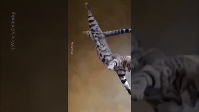 Крым в объективе Crimea in the lens Ep77 #крымвобъективе смотреть онлайн