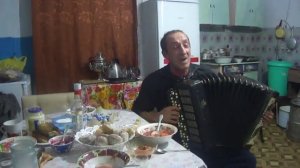 Русский самородок баянист Сергей Мороков.Чайки .