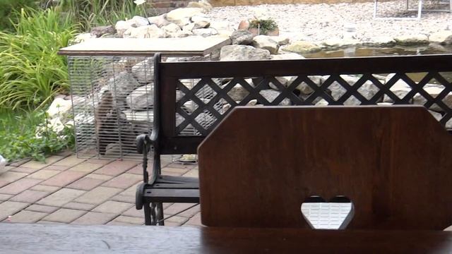 Sony TX20 test смотреть онлайн