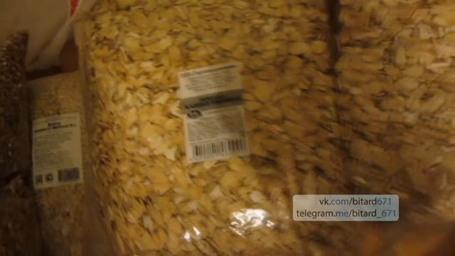 Как прожить на 1000 рублей в месяц? смотреть онлайн