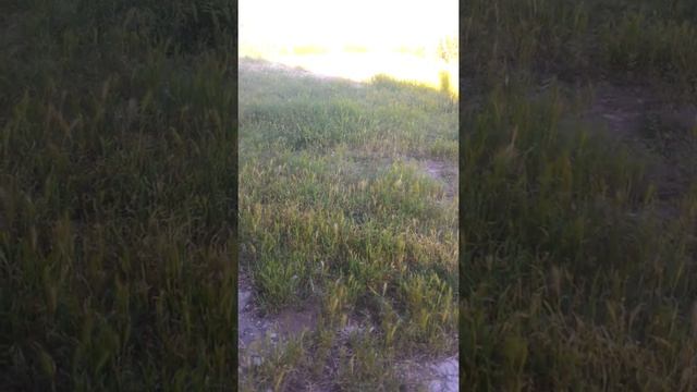 Обереги смотреть онлайн