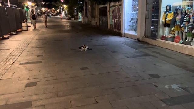 Aleko Bogoridi Street. Burgas, Bulgaria смотреть онлайн