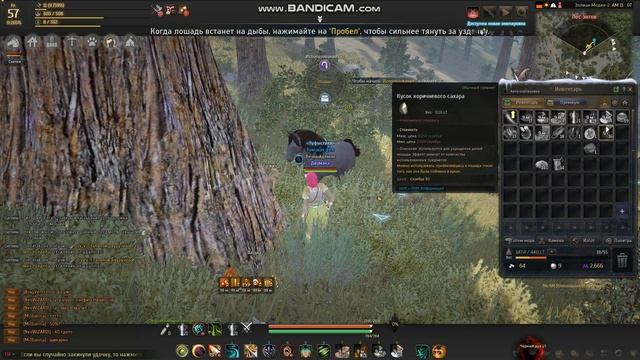 бдо как ловить или приручать лошадь 5 ранг смотреть онлайн