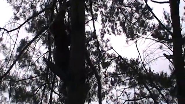 пятый элемент 2012.avi смотреть онлайн