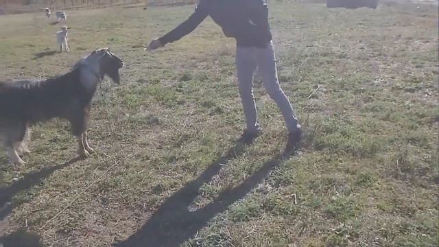 Банкомат)) смотреть онлайн