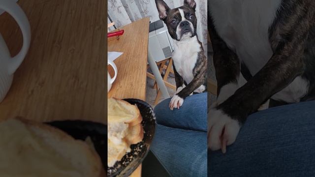 Может бутеры мои? смотреть онлайн