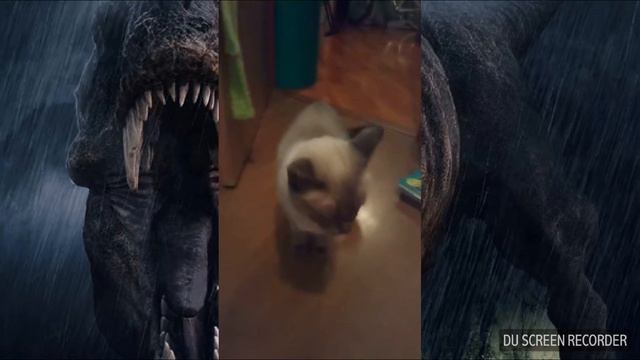 ЧТО ДЕЛАЕТ МОЙ КОТ КОГДА НА ПЬЁТСЯ ВАЛЕРЬЯНКИ смотреть онлайн