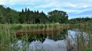 /Таежная повесть /Закон тайги хоть суров, но справедлив/ Карма обязательно настигнет/