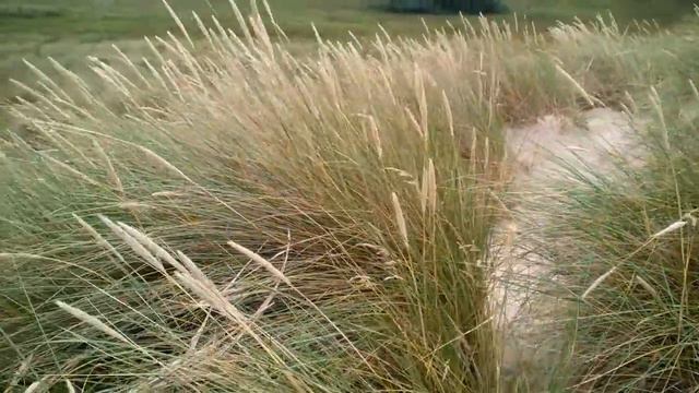 Англия северное море видео смотреть онлайн