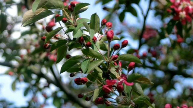 Женщина каждый день искала свою пропавшую дочь #нескучныеистории #аудиорассказ смотреть онлайн