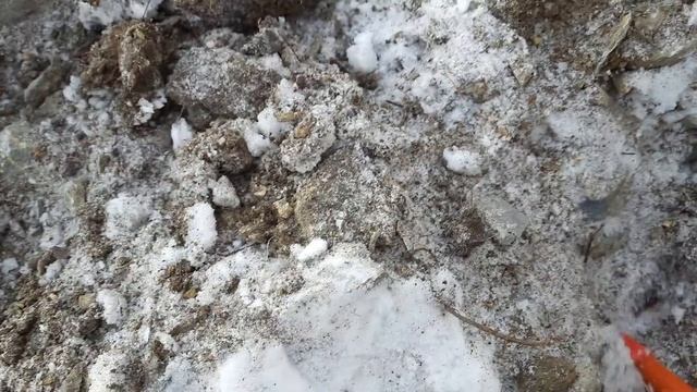 Пинпоинтер Сфинкс 02 магнетик поиск самородков в щетках смотреть онлайн