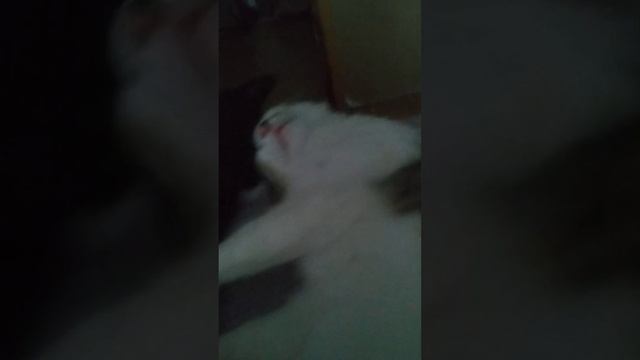 картошка и изюм смотреть онлайн