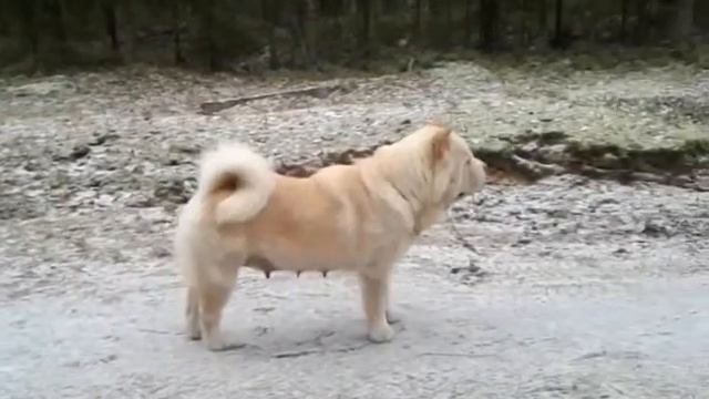 Фэнтези Стайл Ямайка смотреть онлайн