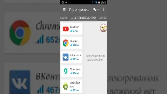 Мастерство на Практике