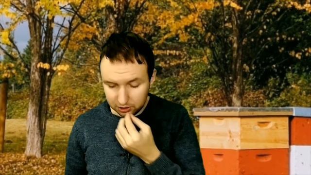 Оператор ринку дотація налоги смотреть онлайн