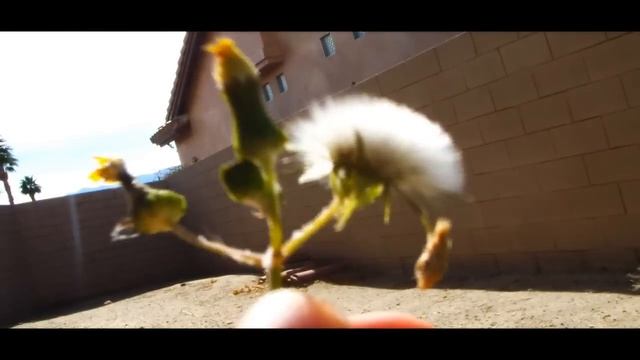 Samsung Q10 Video Test смотреть онлайн