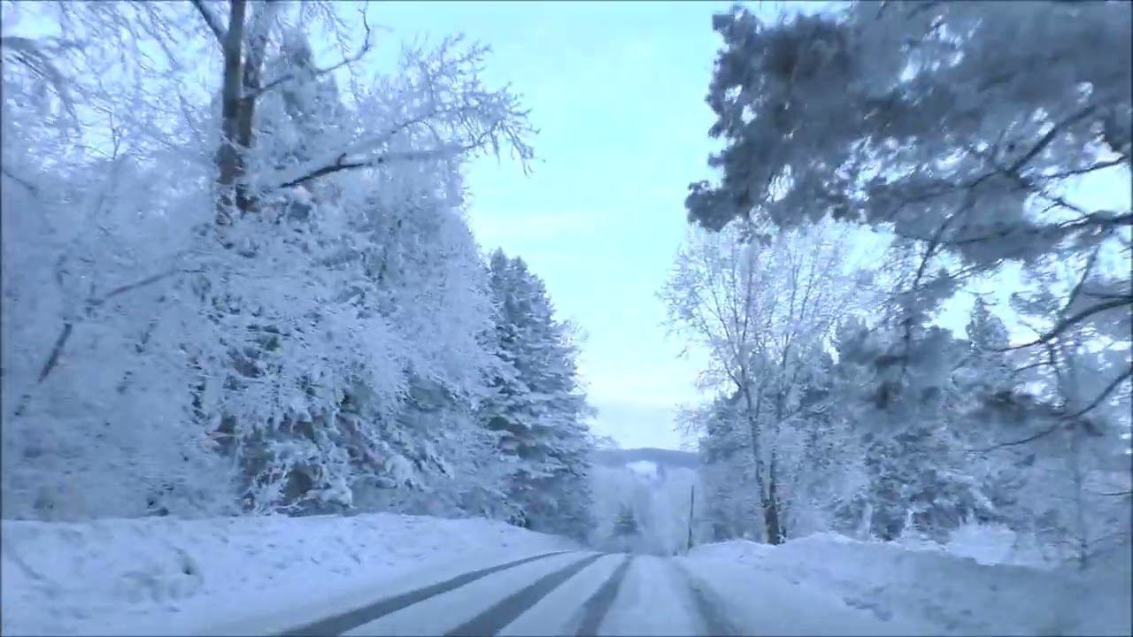 Сказочно - красивый зимний лес. г.Ачинск. 23.01.22г. Автор видео Елена Цыганова смотреть онлайн