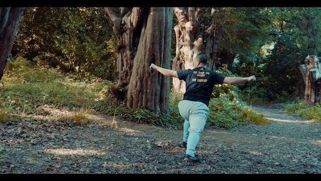 Seven Star Fist - Shaolin Qi Xing Quan - KungFu.Life Step-by-Step Summer Virtual Retreat смотреть онлайн