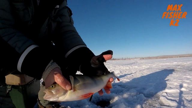 Городские МОНСТРЫ!!! Ловля рыбы на #безмотылку. День второй. смотреть онлайн