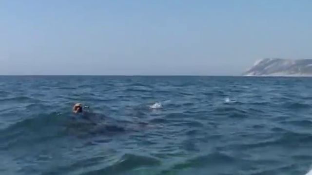Яхта "Святой Пётр" смотреть онлайн