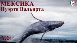 24. Мексика. Пуэрто Вальярта. Экскурсия в горы и наблюдение за китами.