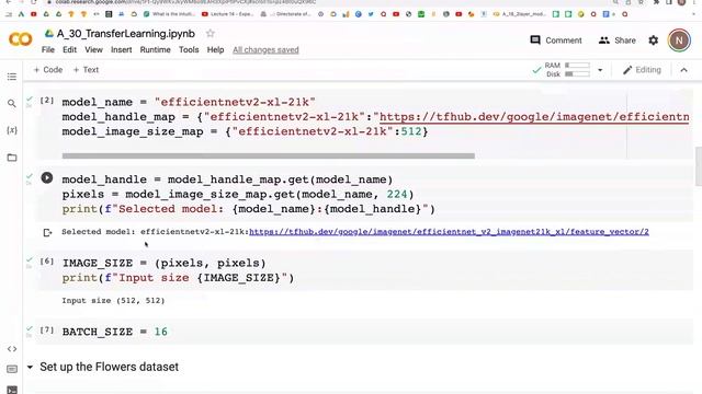 30: Transfer Learning | TensorFlow | Tutorial смотреть онлайн