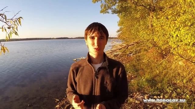 С чего начать новичку смотреть онлайн