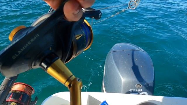 Mackerel Fishing Rainbow Channel Queensland