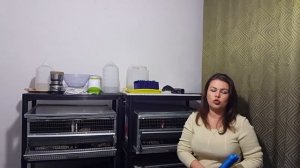 Можно ли держать перепелок в квартире? Что гласит закон? Куда девать помет от птиц?